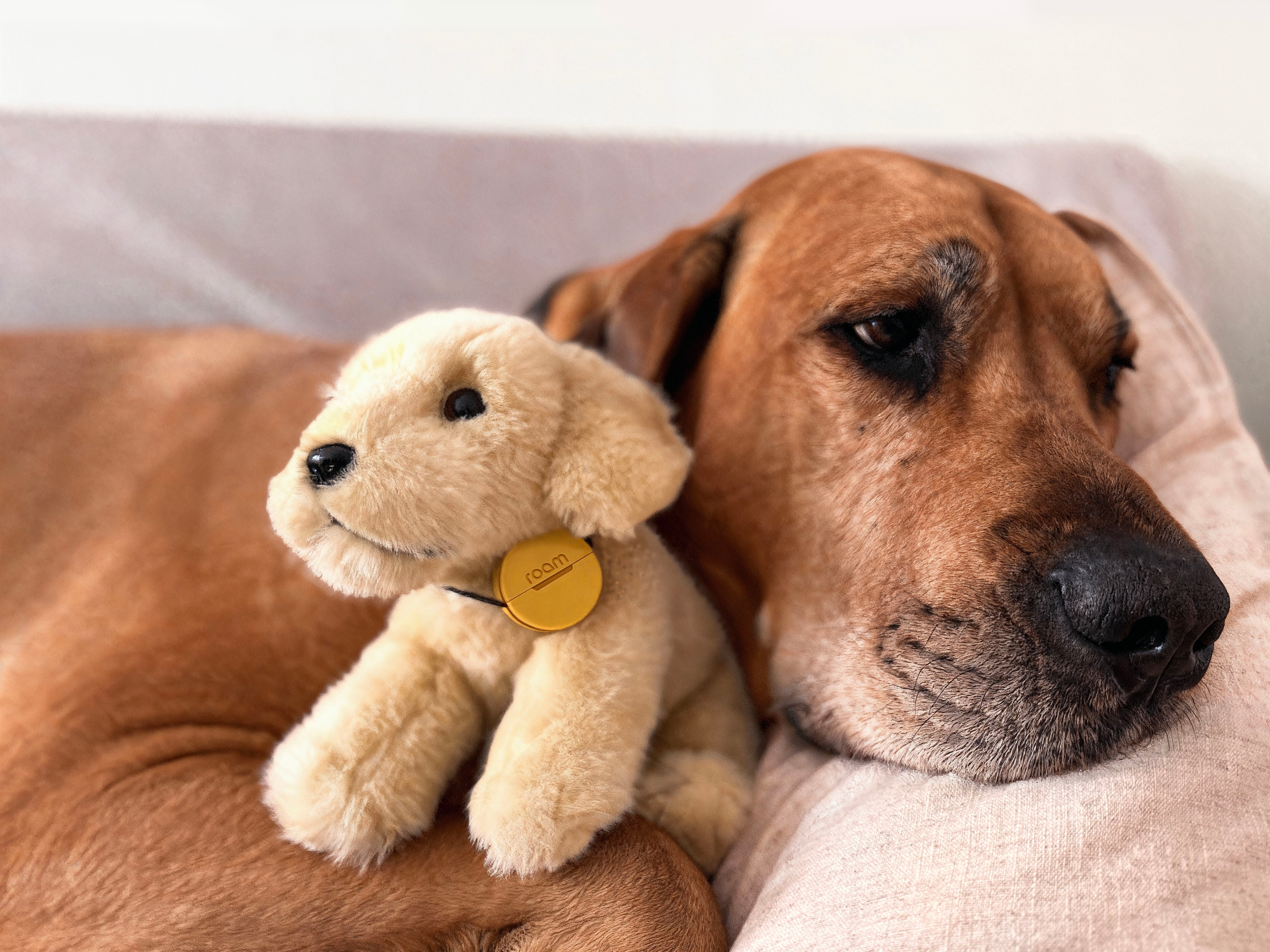 Roam Smart Tracker - Your Stylish Tracker Solution